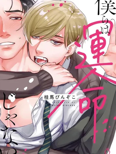 We Are Not a Destined Couple - เราไม่ใช่คู่แห่งโชคชะตา