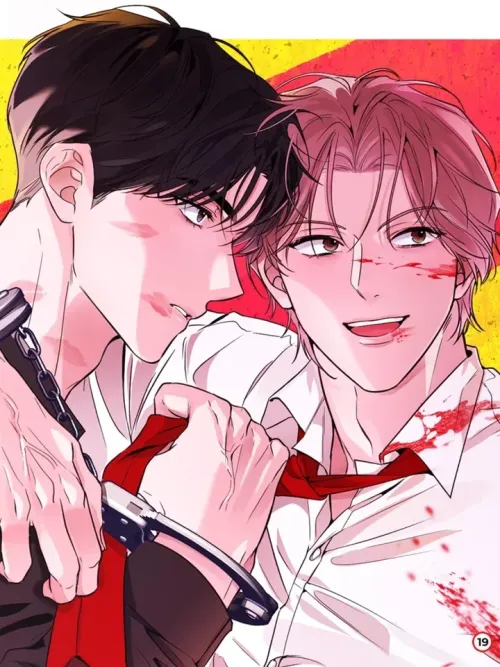 Shiny Star The Night is Soft - แสงดาวส่องใจ ในค่ำคืนที่แสนอ่อนโยน