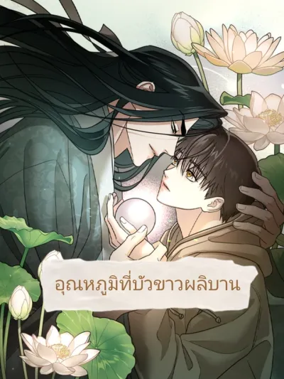 The Temperature of the Blooming White Lotus - อุณหภูมิที่บัวขาวผลิบาน