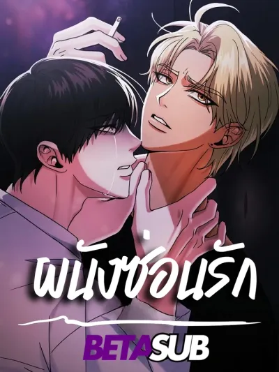 Love Behind the Wall - ผนังซ่อนรัก